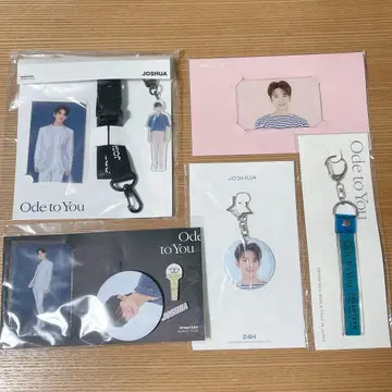 SEVENTEEN 조슈아 ode to you 트레이딩 카드 캔뱃지 핀즈