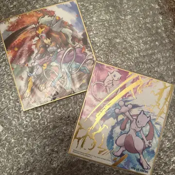 라이코우 엔테이 스이쿤 포켓몬 색지 ART 프리미엄 아트 보드 2점