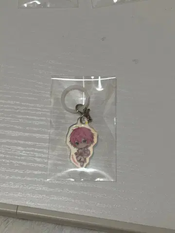 사토미군 오로라 참 새상품