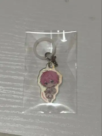 사토미군 오로라 참 새상품