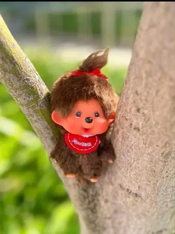 몽치치 얼굴 큰 SS 키체인 여아 마스코트 키링 네고 불가