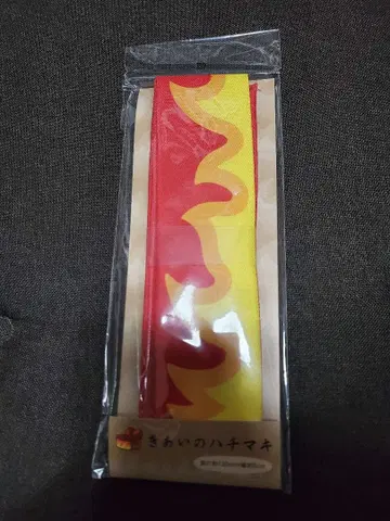 기합의 띠 포켓몬 센터