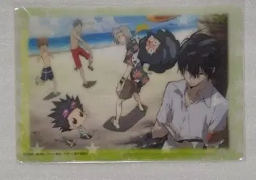 츠나, 히바리, 리본 외 클리어 엽서 가정교사 히트맨 REBORN