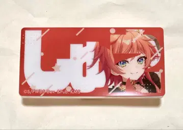 왕설 명찰 배지