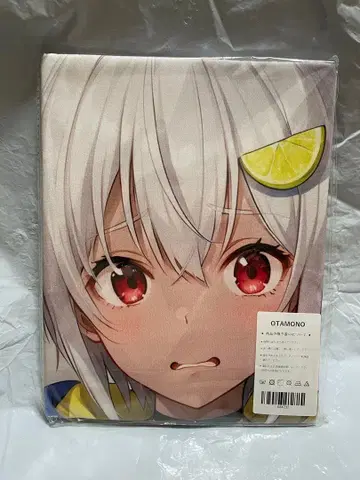 84232 빈 니지산지 하야마 마이린