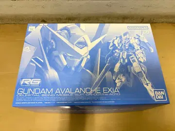 RG 1/144 건담 아발란체 엑시아 대시