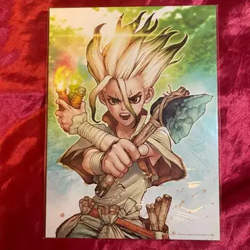 dr.stone 이시가미 센쿠 원작 아트 패널 한정품