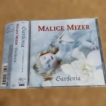 마리스미젤 가드니아