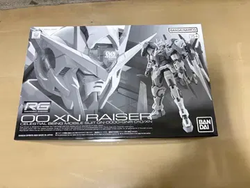 RG 1/144 더블오 라이저