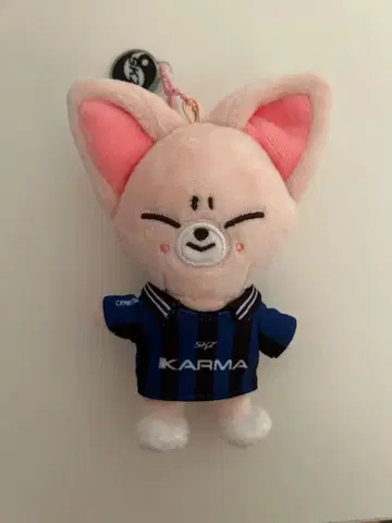 Stray Kids 스키즈 KARMA SKZOOver. 폭시니