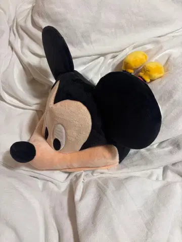 디즈니 팬캡 미키마우스