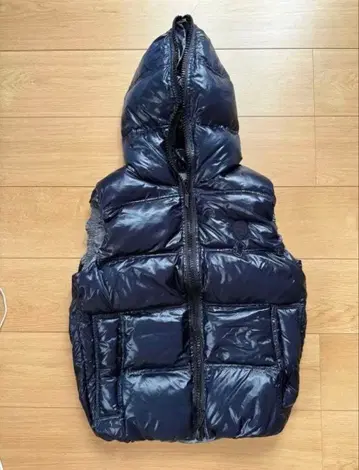 달탐보나파르트 다운 베스트