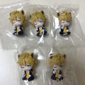 트위스테 어깨 쿵 Fig. 러기 부치