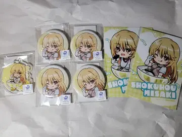 어떤 과학의 초전자포 T 복권 콜렉션 쇼쿠호 미사키