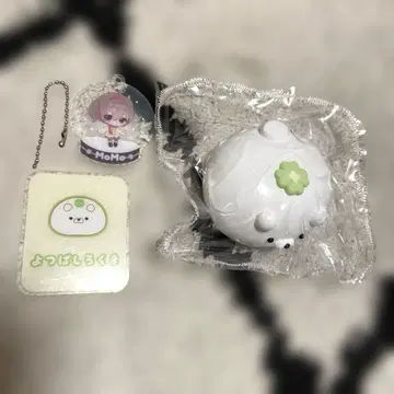 주물주물 momo 스퀴즈 요츠바 시로쿠마