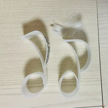 SnowMan Dome Tour 낙하물