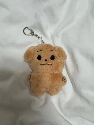 ENHYPEN 제이크 봉제 인형 10cm 마스터