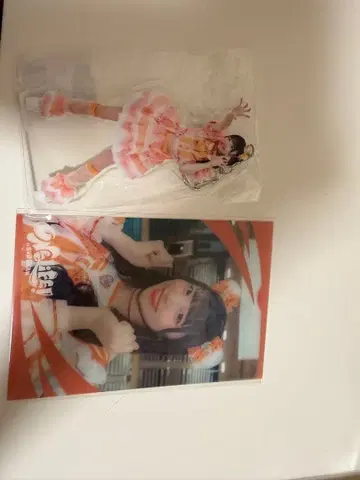 iLife 무도관 굿즈 코구마 마무