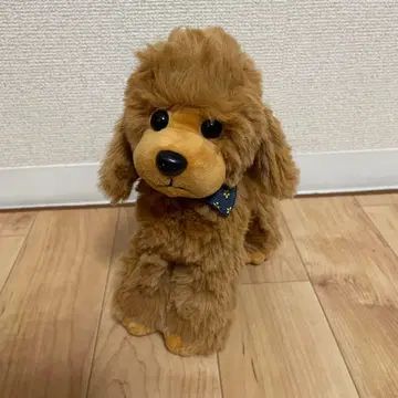 토이 푸들 봉제 인형