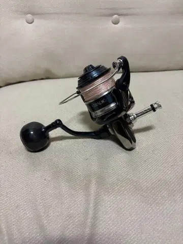 20 스트라딕 SW6000XG