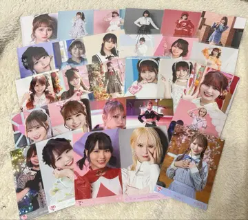 이코럽 오바 하나 브로마이드 장미 묶음 판매 28장