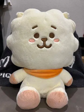[공식] BTS BT21 RJ 봉제 인형 후르츠 빈 시리즈 L 사이즈