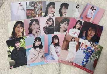 이코럽 사사키 마이카 브로마이드 장미 묶음 판매 17장