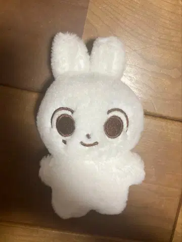 seventeen 정한 인형