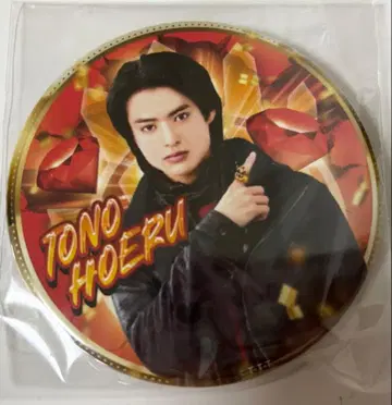 고주황자 토노호에 캔뱃지 vol2