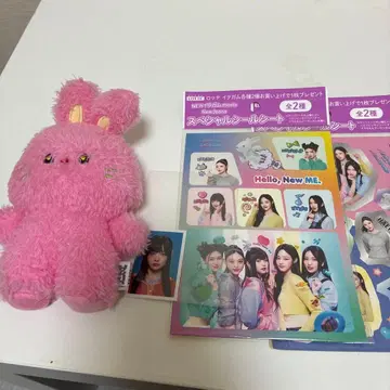 NewJeans 하니 세트