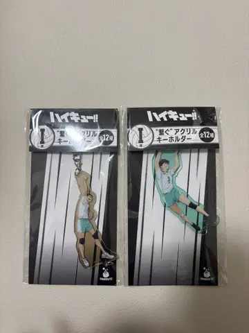 하이큐!! 아크릴 키링 2개 세트 아오바 조사이 오이카와 이와이즈미