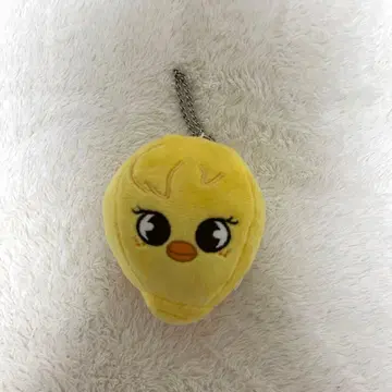 straykids skzoo 포가리 필릭스 백참