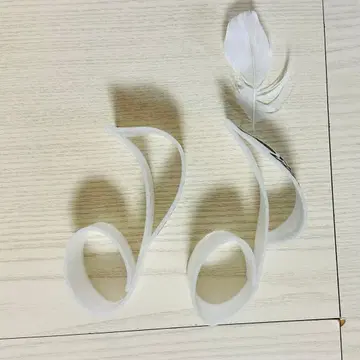 SnowMan Dome Tour 낙하물