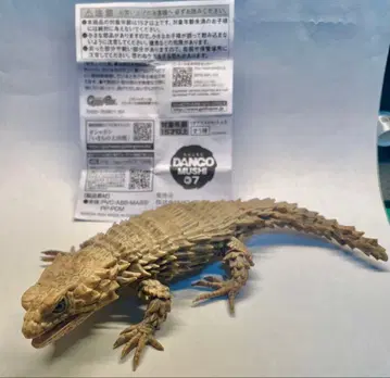 [ 레어 ] 아르마딜로 도마뱀 먹선 ver.