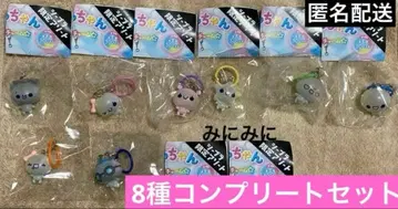 가챠가챠 아와와짱 메지루시 참 8종 컴플리트 세트