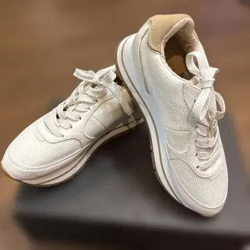 ZARA 화이트 메쉬 스니커즈 24cm