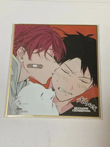 기븐전 미니 색지 리츠카&마후유 리츠마후