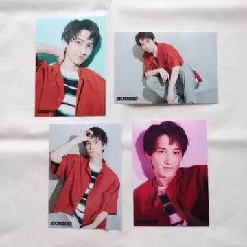 BUDDiiS YUMA 브로마이드 노세 유마 4점 묶음