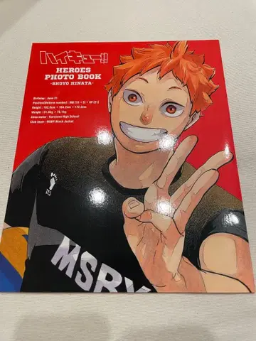 하이큐 하이큐전 히나타 쇼요 사진집만