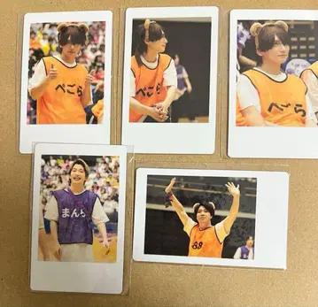 와니얀 DD 대운동회 하피카 주식회사 DD 페고라