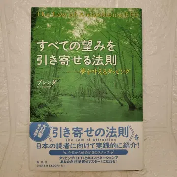 모든 소망을 끌어당기는 법칙 : 꿈을 이루는 태핑