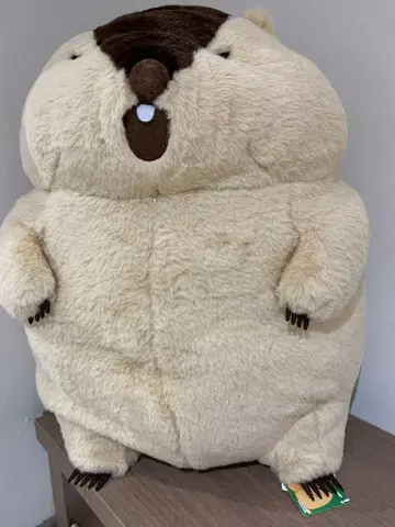 마모트의 더더욱 초 울트라 BIG 울트라 빅 봉제 인형