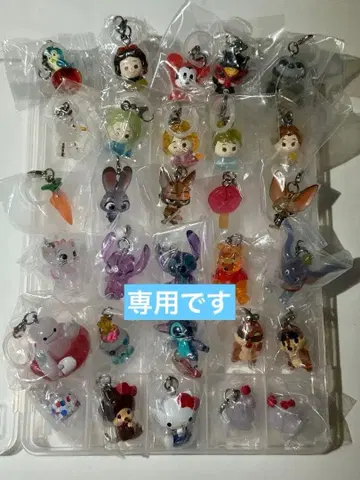 지유이지 님 디즈니 메지루시 액세서리