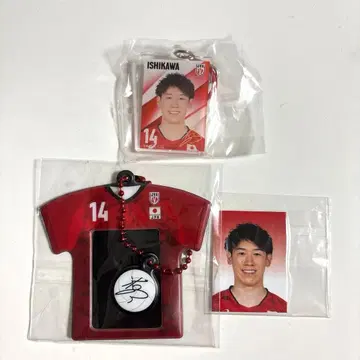 배구 남자 일본 대표 가챠가챠