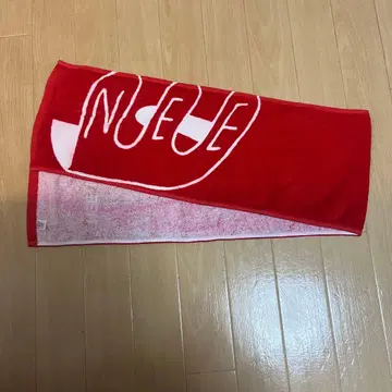 NEE 승리의 타월