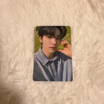 txt MOAZONE 트레이딩 카드 수빈