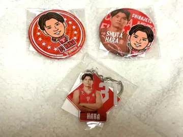 치바 제츠 하라 슈타 회장 한정판 가챠 캔뱃지 레어 아크릴 키링