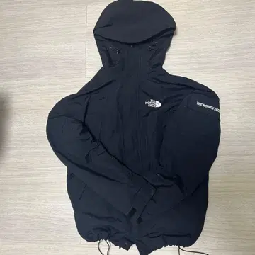 THE NORTH FACE 블랙 마운틴 후드티 S