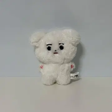 ENHYPEN 성훈 봉제 인형