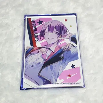 My9Swallows 마이나인 아크릴 스탠드 미라